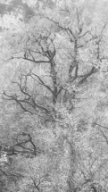 20190426_162247_2